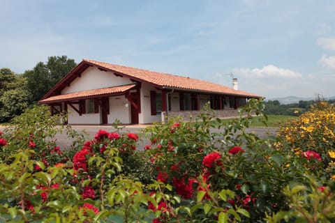 Property building, Day, Garden, View (from property/room)