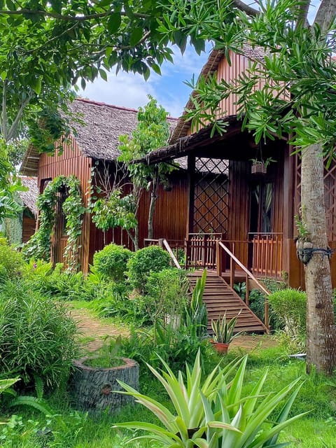 Garden, Garden view, Garden view