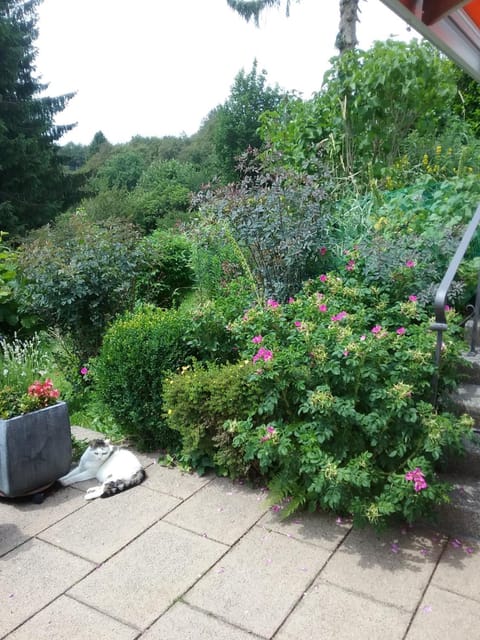 Garden, Garden view