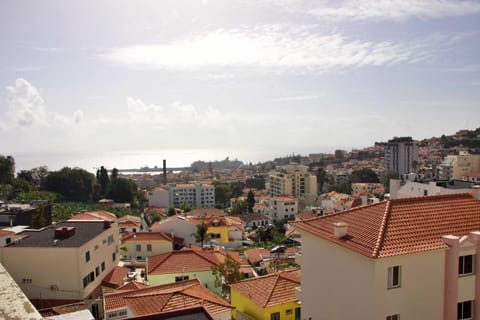 Natural landscape, City view, Sea view, Street view