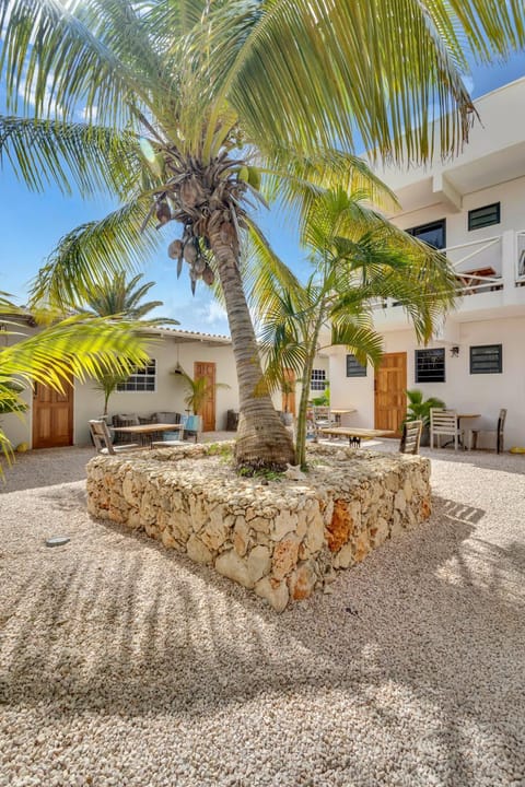 Property building, Garden, Garden view