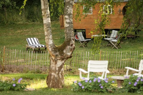 Spring, Natural landscape, Garden, Garden, Garden view, sunbed