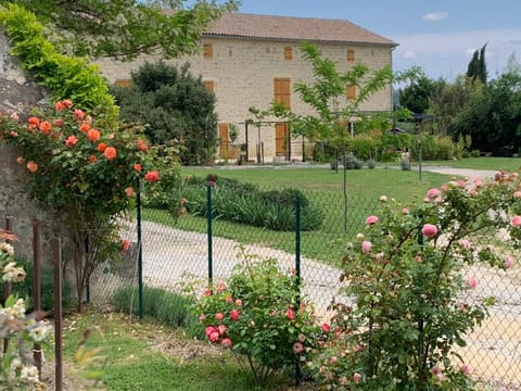 Day, Natural landscape, Garden view
