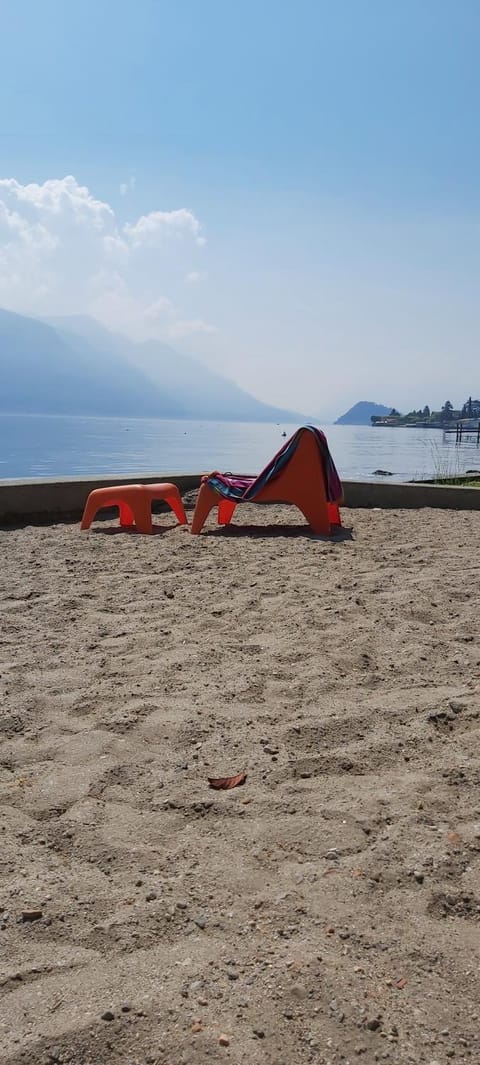 Garden, Beach