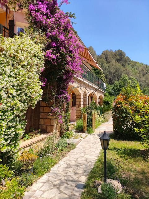 Property building, Natural landscape, Garden, Garden view