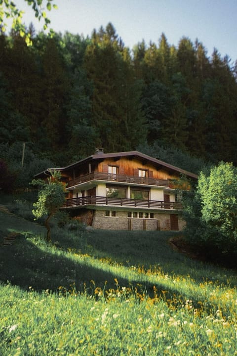 Property building, Garden, Garden view