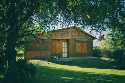 Property building, Facade/entrance, Garden