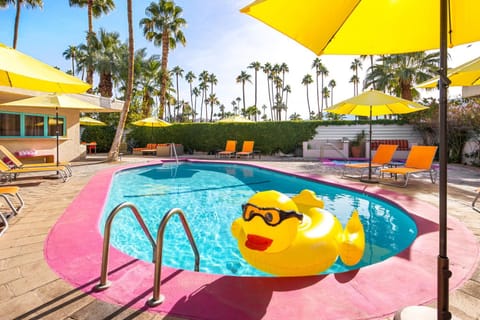 Swimming pool, Swimming pool