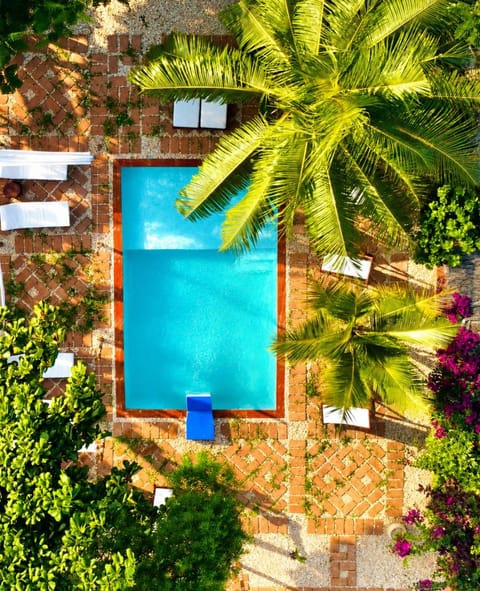 Spring, Day, Garden, Garden view, Pool view, Swimming pool, sunbed