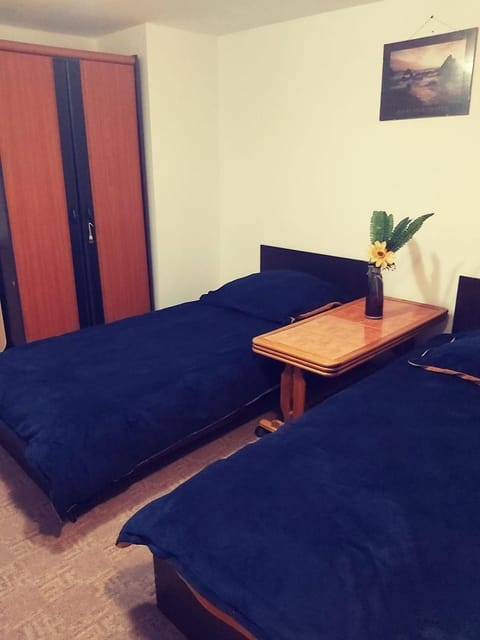 Cameră privata cu baie Tina, Iulius Mall Bed and Breakfast in Timisoara
