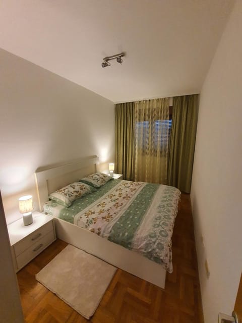 Comfort one bedroom apartment Apartment in Podgorica