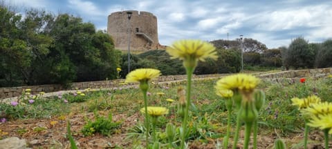 Rena Bianca 7 Apartment in Santa Teresa Gallura