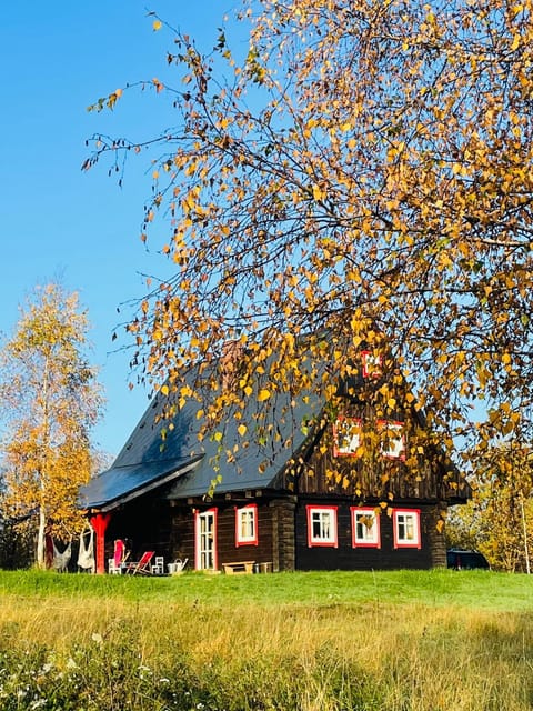 Property building, Day, Natural landscape, Autumn, Garden view