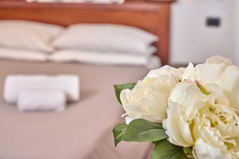 Gionno's apartment Apartment in Torri del Benaco