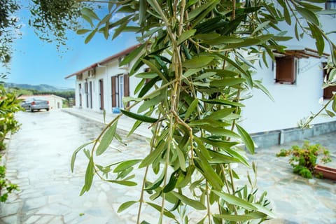 Property building, Patio, Facade/entrance