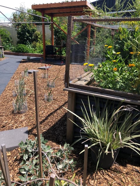 Launceston Vegan Homestay Vacation rental in Tasmania