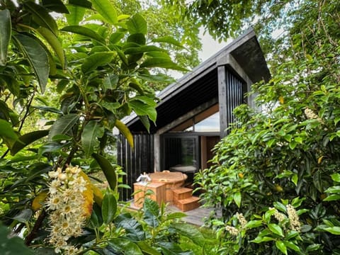 Property building, Natural landscape, Garden view