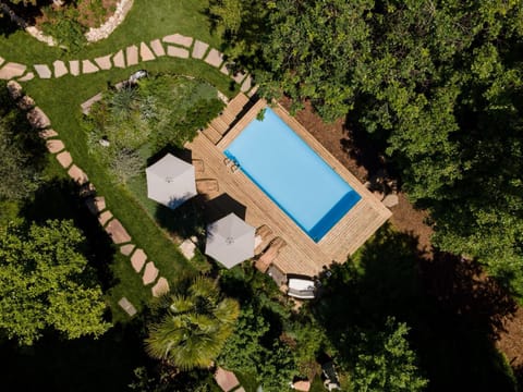 Natural landscape, Bird's eye view, Garden view, Swimming pool