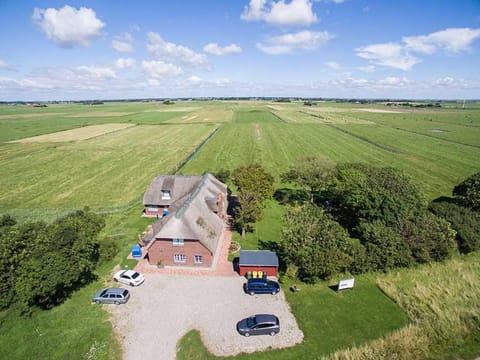Bird's eye view, Garden view