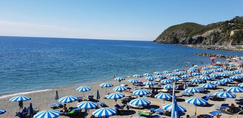 VILLA NORMA Apartment in Levanto