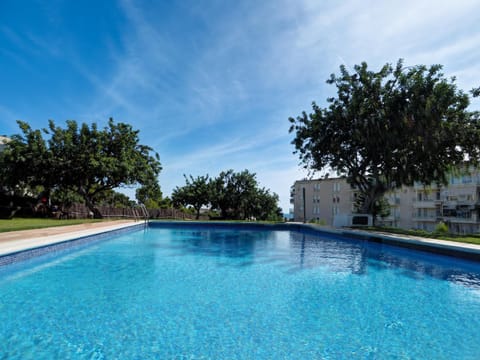 Day, Pool view, Swimming pool