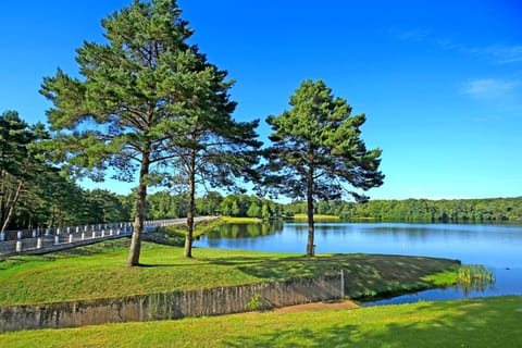 Garden, Lake view