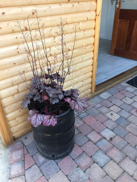 Ardmore Log Cabins Cabin in County Donegal