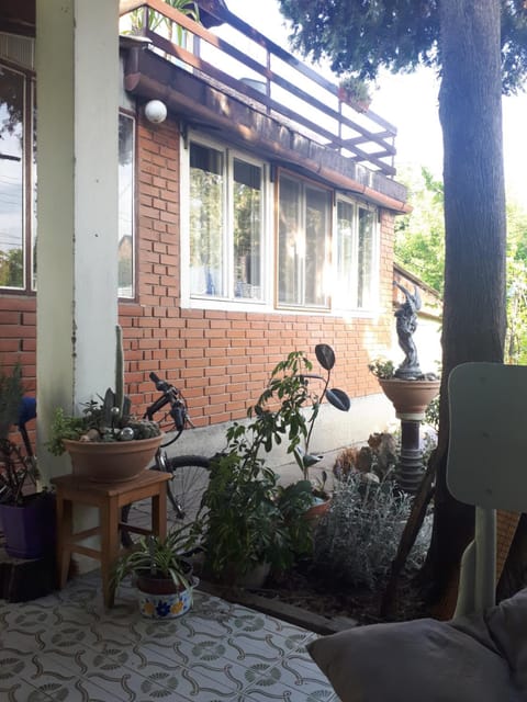 Garden Room Apartment in Novi Sad