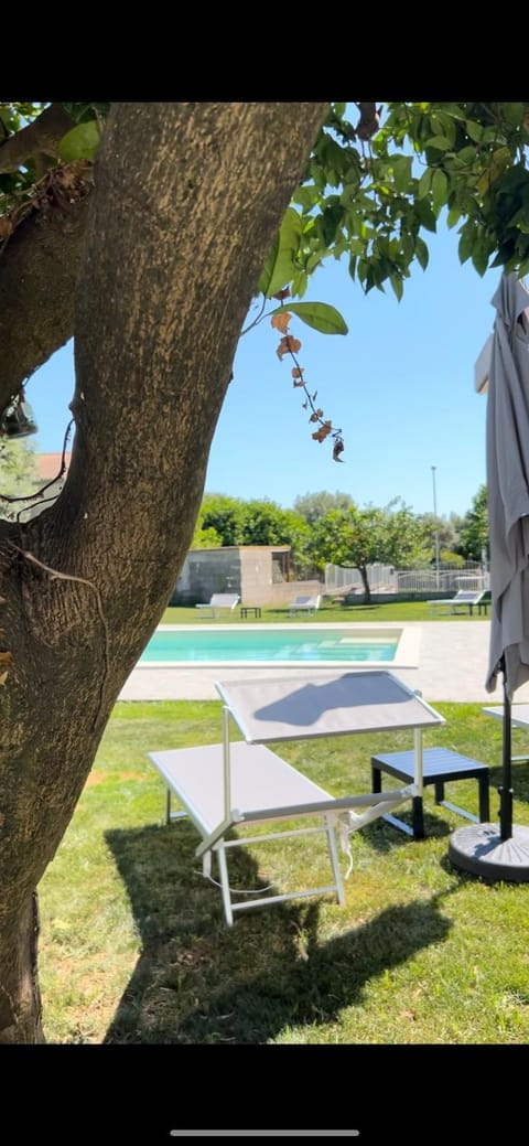 Garden, Swimming pool