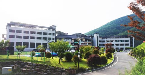 Property building, Garden