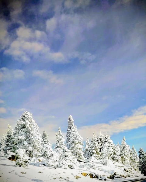 Great Location Corner Condo - Tamarack #10 Pets Ok Apartment in Bear Valley