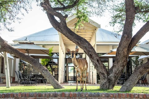 Property building, Restaurant/places to eat, Day, Garden, Garden view