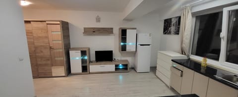Studio 32 Bulevardul Oltenia Apartment in Craiova