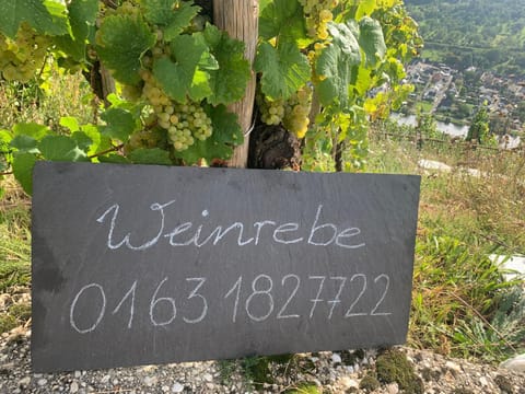 Weinrebe Apartment in Bernkastel-Kues