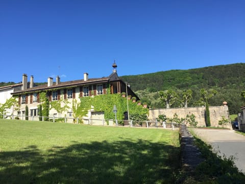 Property building, Garden