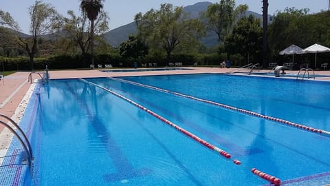 Nearby landmark, Activities, Summer, Swimming pool, Sports