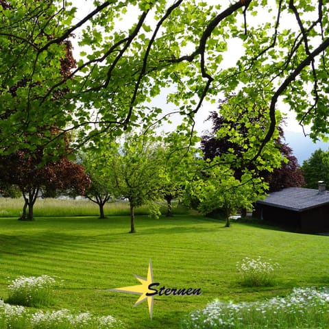 Spring, Natural landscape, Garden, Garden view