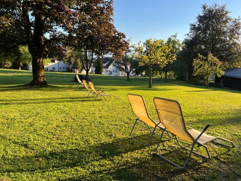 Natural landscape, Garden, Garden view, sunbed