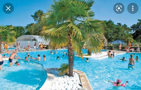 Aqua park, Evening entertainment, Swimming pool