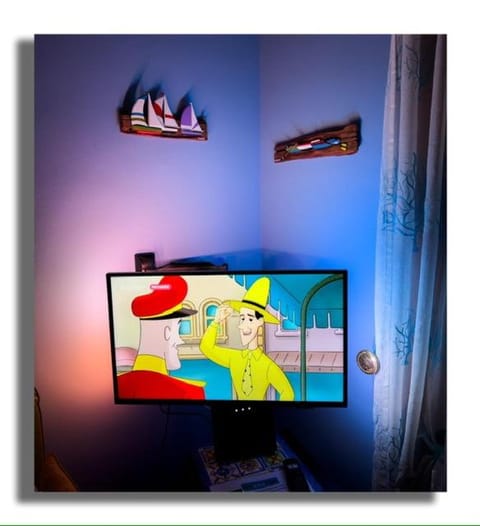 TV and multimedia, internet