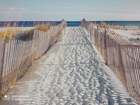 Decorative detail, Beach