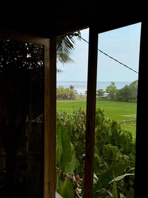 Dikaloha Surfschool and Stay Bed and Breakfast in Bali