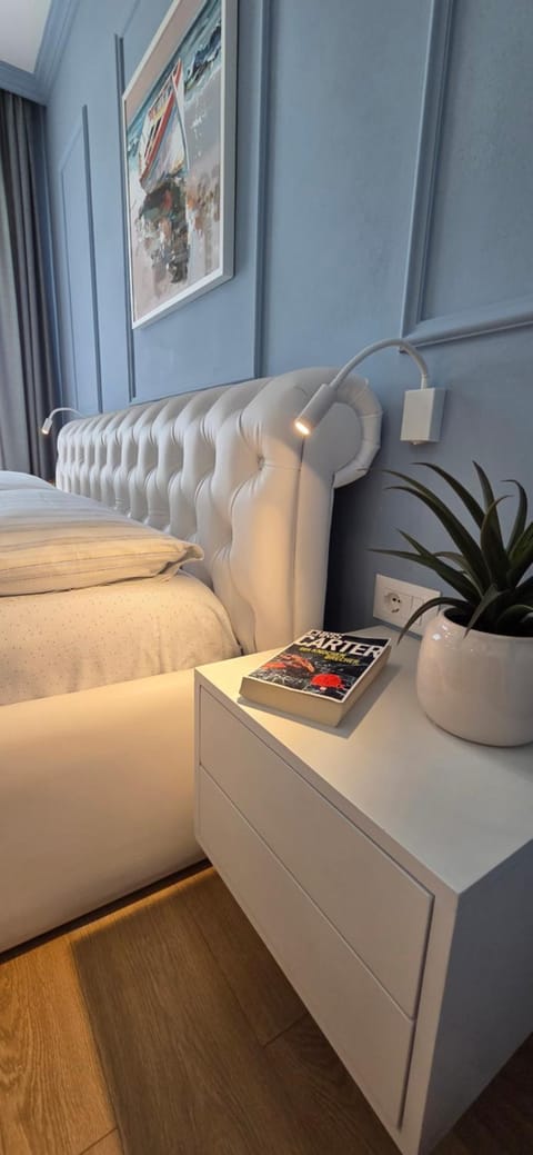 LUXURY DRIJON APARTMENTS 4d Apartment in Montenegro