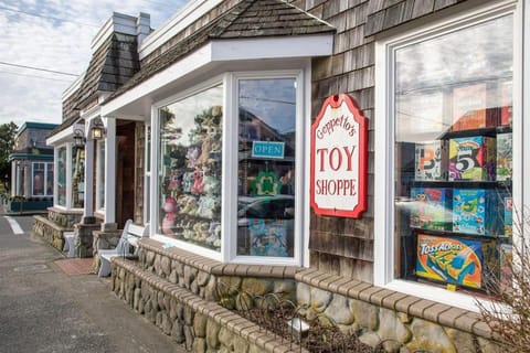 Cannon beach vibes, steps to the beach,WIFI,3 full bedroom en suites with 3 fireplaces,Near Downtown House in Tolovana Park