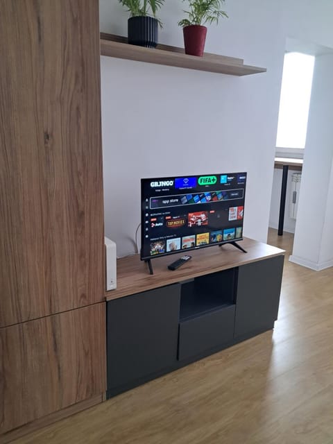 TV and multimedia