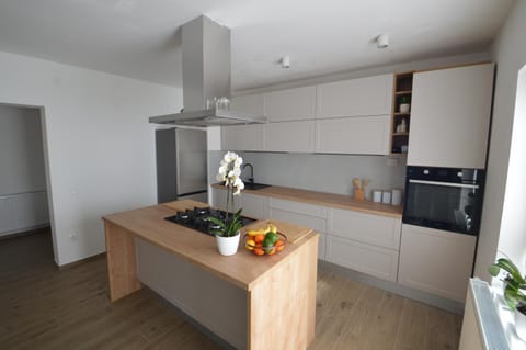 Beach Apartment in Murter