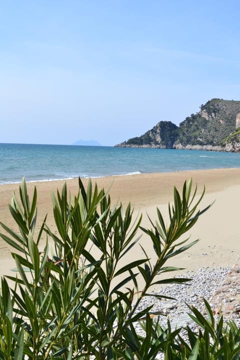 Natural landscape, Beach, Hiking, Sea view