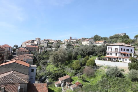 Natural landscape, City view