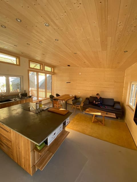Living room, Photo of the whole room, Seating area