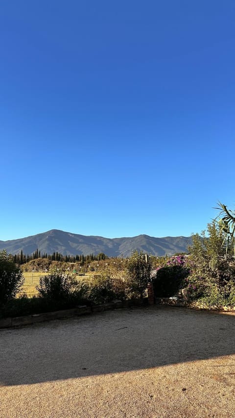 Garden, Mountain view